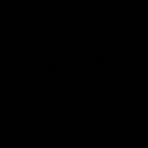 Meet your Posher, Aniela